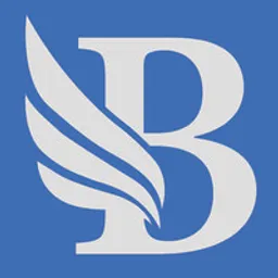 Desktop App BidLight