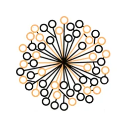 Desktop App Auros