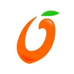 Applikation de bureau Mango Practice Management