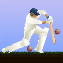 Applikazione desktop Little Master Cricket