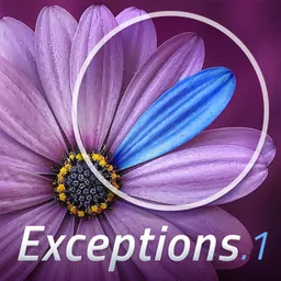 Desktop App Exceptions
