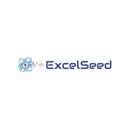 Desktop App ExcelSeed
