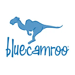 Desktop App BlueCamroo
