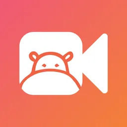 Desktop App Hippo Video