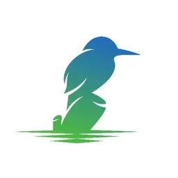 Aplicație desktop The Kingfisher Alpha