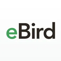 Desktop App eBird
