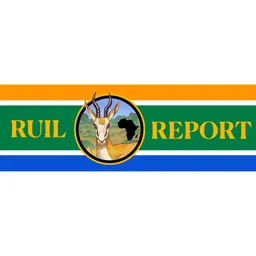 Настольная Applikation Ruil Report