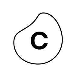 Desktop App Celonis