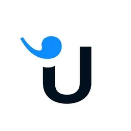 Aplicație desktop Userlike